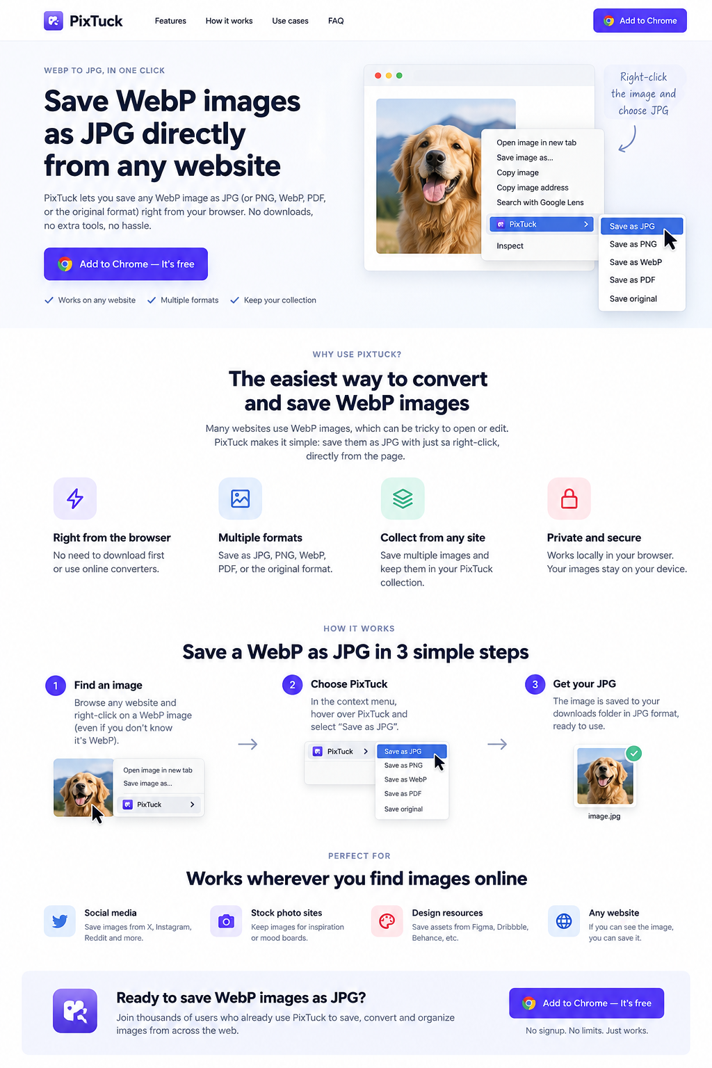 A dog photograph with a Chrome context menu illustrating Save as JPG.